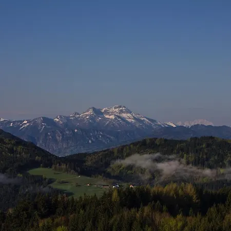 Bauernhof Kronsteiner *