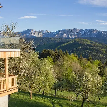 Bauernhof Kronsteiner Апартаменты