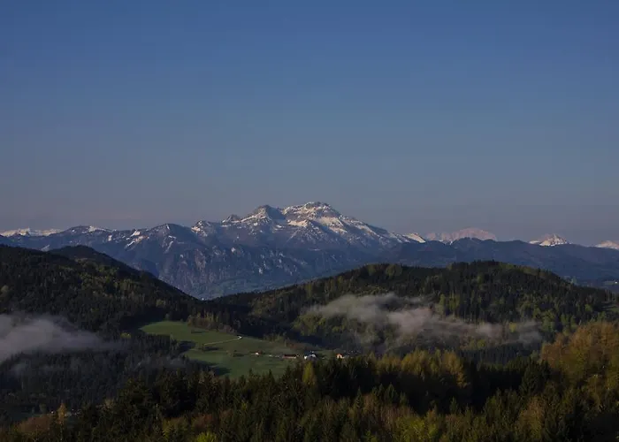 Bauernhof Kronsteiner *